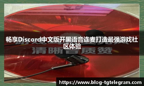 畅享Discord中文版开黑语音连麦打造最强游戏社区体验